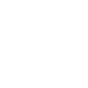 Prancheta 9